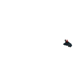 Step783.png