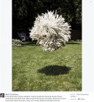 Chien Facebook.jpg