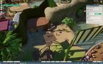 Animal Escape 02.jpg