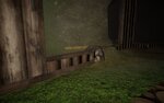 Stuck Wolf Pup - Barrier Problem.jpg