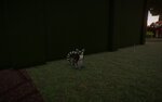 Bloody Lemur 03.jpg