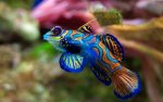 fish-04.jpg