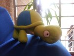 20150803_140225.jpg