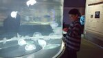 Oregon+Coast+Aquarium+(121).jpg