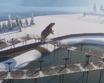 Bug flying bear.JPG