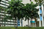 DSC04682.JPG