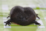 1580872913248.png