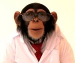chimpanzee_labcoat_1.jpg