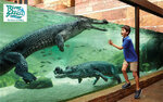 zoo4889.jpg
