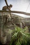 zoo09553.jpg