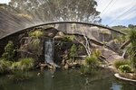 zoo09998.jpg