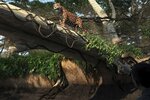 zoo4444465.jpg