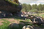 zoo9999999.jpg