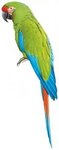 color6682.jpg