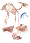 zooart77.jpg