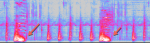 spec_005.png