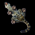 jaguar.jpg