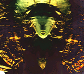 20210215_223402.png