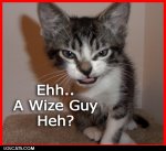 lolcatsdotcomrq4lywopmz2tyzsb.jpg