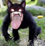 frightcat3a.jpg