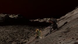 2021-05-30_20-22-42_Wolf 1311_Wolf 1311 B 3 b.jpg