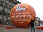 OneTonneOfCo2.jpg