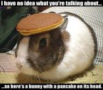 i-have-no-idea-what-you-re-talking-about.jpg