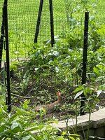 IMG_20210810_171100.jpg
