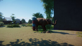 PlanetZoo 2021-09-18 21-49-49-051.jpg