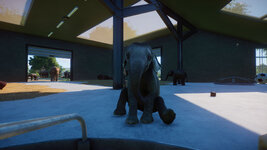 PlanetZoo 2021-09-18 21-53-32-602.jpg