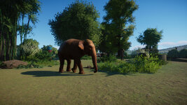 PlanetZoo 2021-09-18 21-55-05-296.jpg