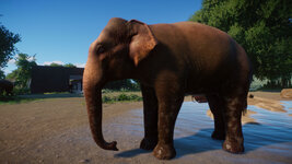 PlanetZoo 2021-09-18 21-56-24-124.jpg