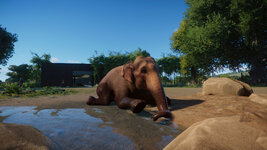 PlanetZoo 2021-09-18 21-56-44-773.jpg
