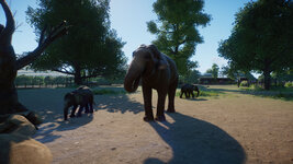 PlanetZoo 2021-09-18 21-59-16-645.jpg