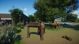 PlanetZoo 2021-09-18 22-04-36-487.jpg