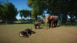 PlanetZoo 2021-09-18 22-14-33-826.jpg