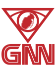 GNN.png