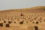 hay_bales.jpg
