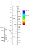 640px-Electromagnetic-Spectrum.svg.png