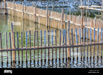 bamboo-fence-near-the-sea-M9HTRW.jpg