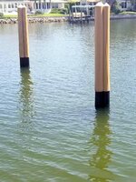IMG_7656.jpg