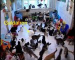 galdatcat.jpg