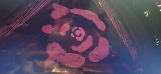 IMG_20220512_004945.jpg