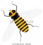 stock-vector-yellow-worker-bee-on-a-white-background-vector-illustration-30444616.jpg