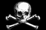 pirate_flag.jpg