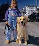 comet-full-house-famous-tv-dogs-510x600.jpg