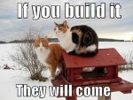 if_you_build_it_they_will_come_photo.jpg