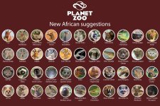 New African Animals.jpg