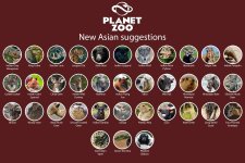 New Asian Animals.jpg
