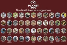 New North American Animals.jpg